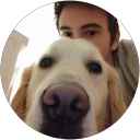 Ikertxo AC profile picture